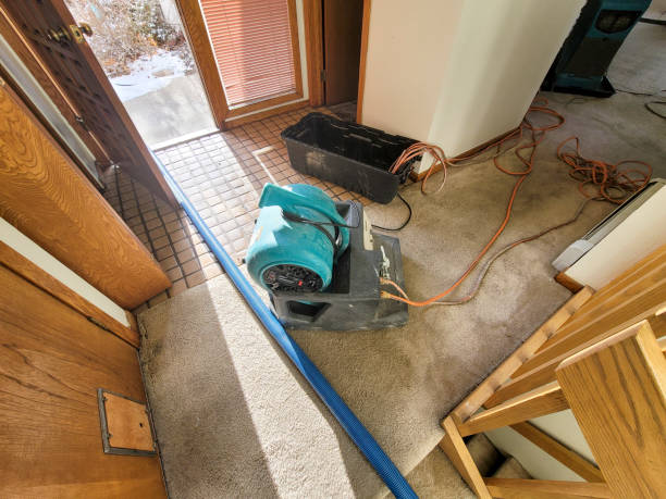 Best Residential water damage restoration  in Kingstown, MD