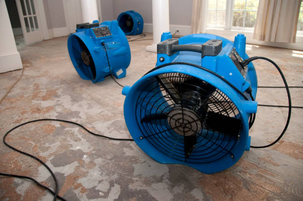 Best Water damage contractors near me  in Kingstown, MD