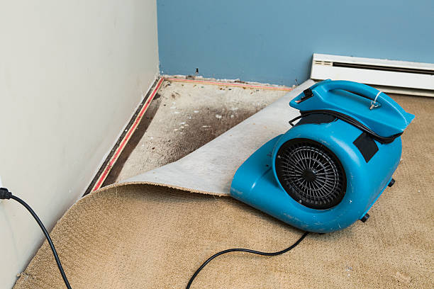 Best Flood restoration services  in Kingstown, MD